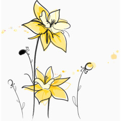 卡通手绘绽放的黄花