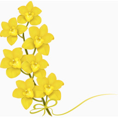 黄色串串花