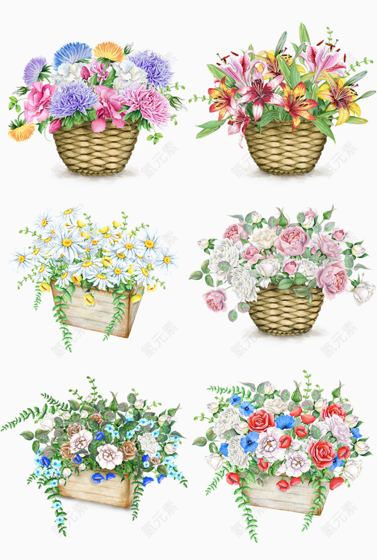 鲜花花朵花篮