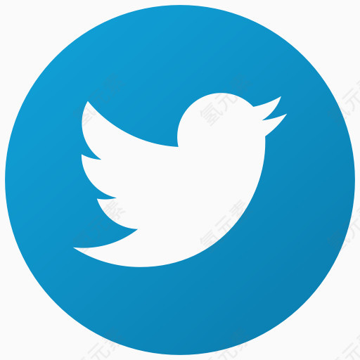 鸟社会鸣叫推特社会