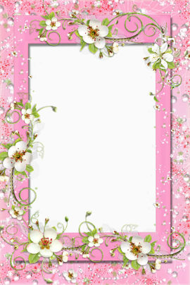 一个粉色鲜花的相框