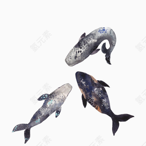 鲸鱼组合素材图片