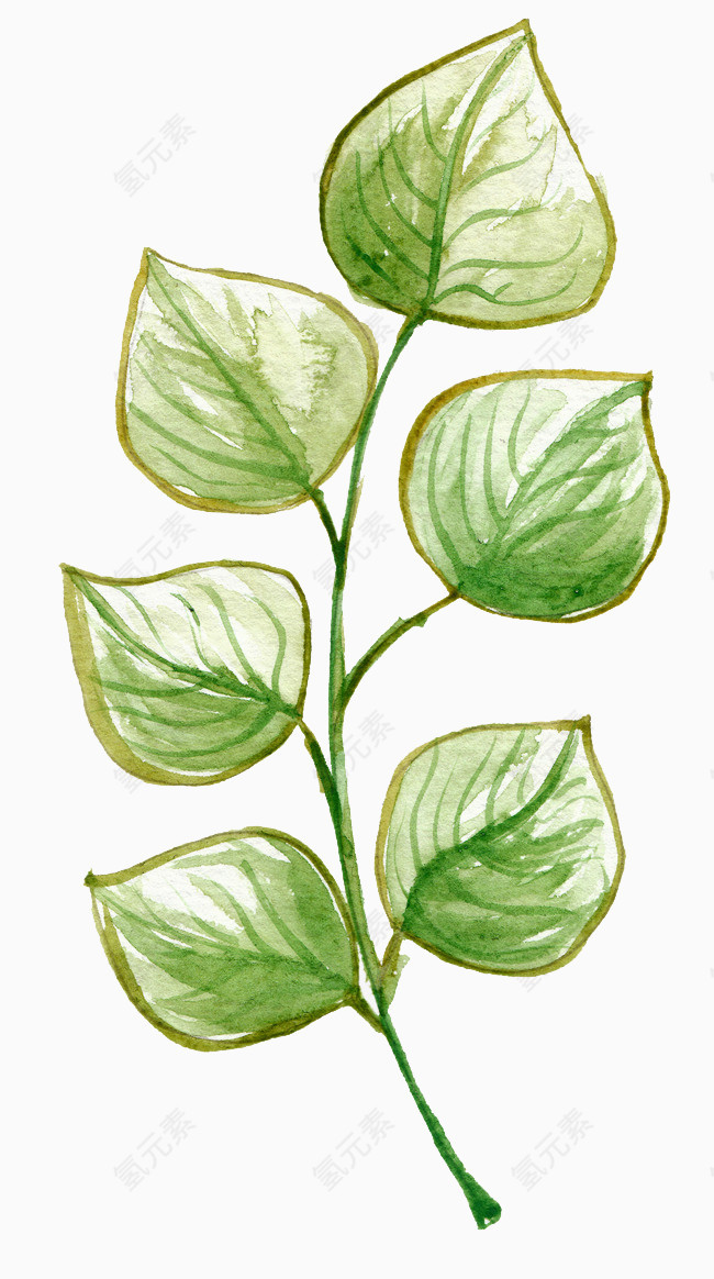手绘水彩绿色叶子装饰图案