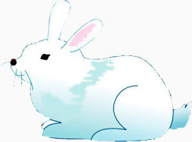 中秋节手绘小白兔
