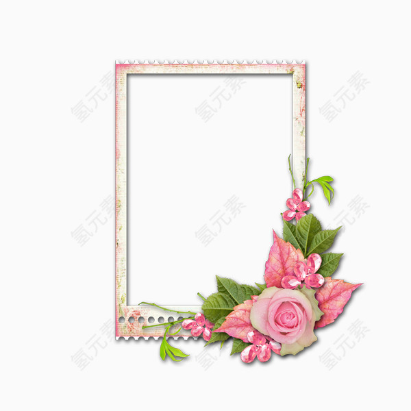 粉红色蔷薇装饰的边框
