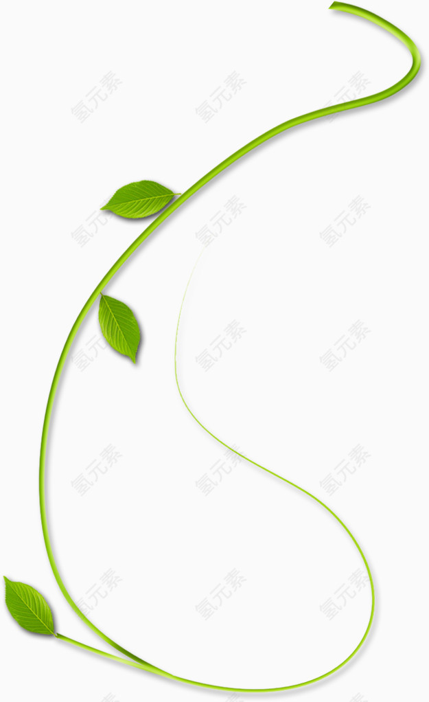 三维立体绿色藤蔓装饰元素手绘