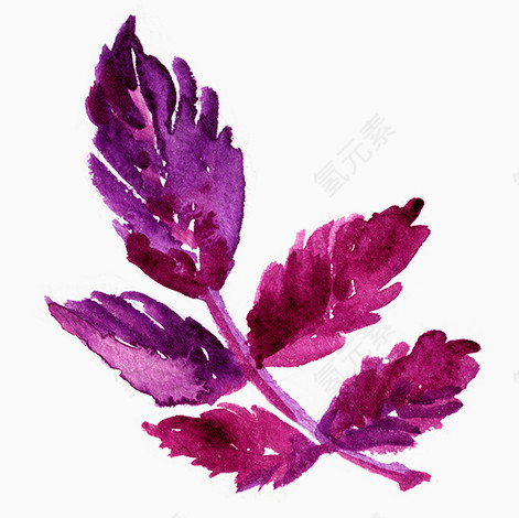 紫色叶子漂浮元素