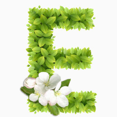 春意盎然的绿叶花卉字母E