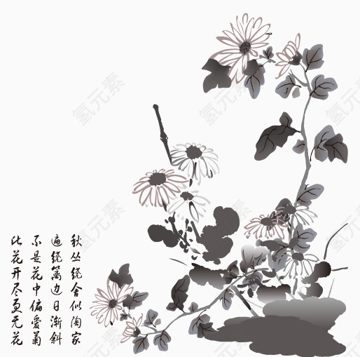 水墨菊花