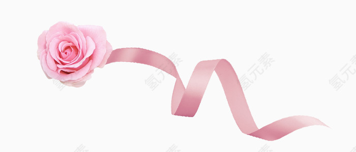 粉色花朵配丝带