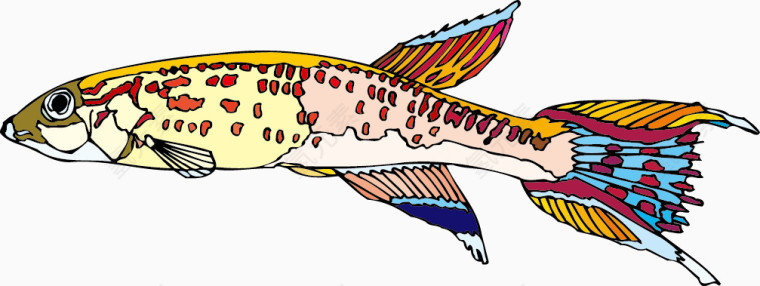 印花矢量图 鱼