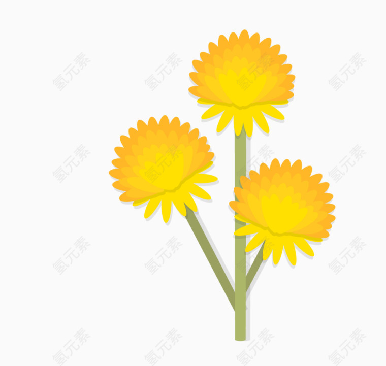 黄色花卉植物
