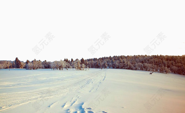 雪乡森林景色