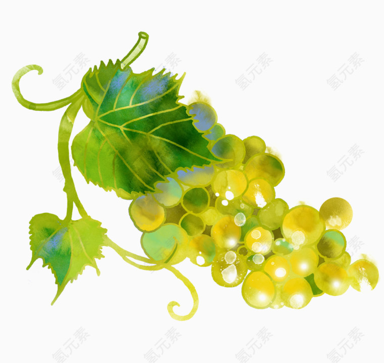 绿色葡萄水果