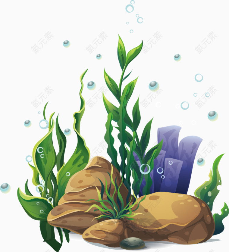 海底植物