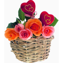 篮筐里的彩色玫瑰七夕情人节