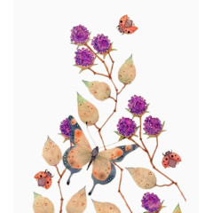 卡通手绘植物蝴蝶