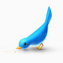 饿了鸟推特动物社会网络社会锡我的网站