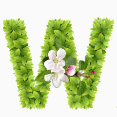 春意盎然的绿叶花卉字母W