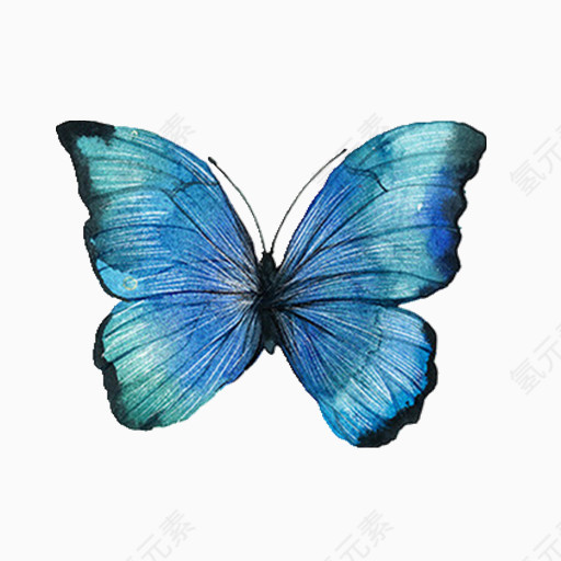 卡通手绘蓝色条纹蝴蝶