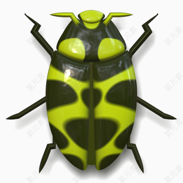 绿色甲壳虫