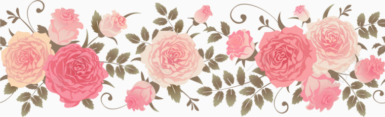 粉色蔷薇水彩画