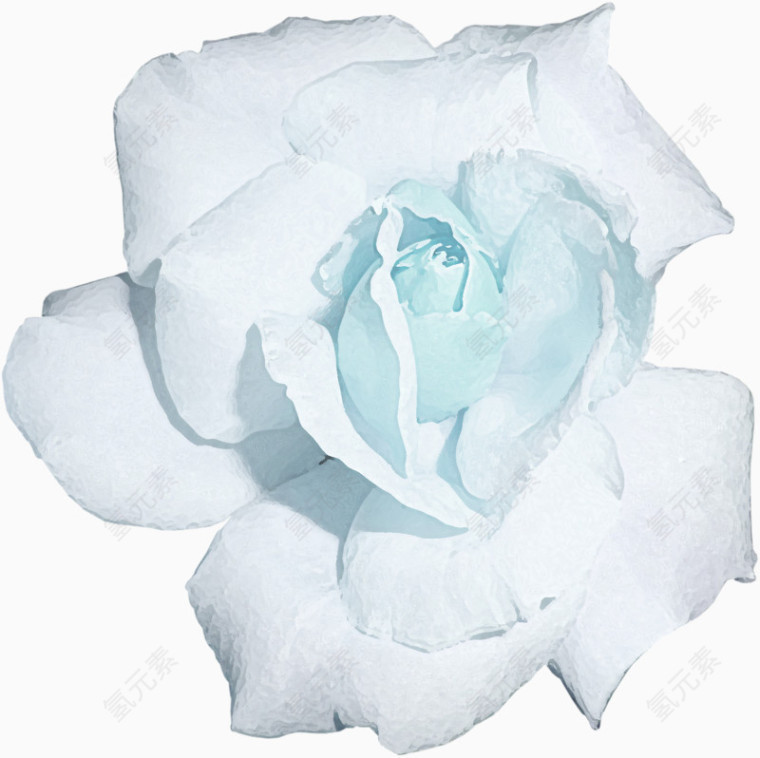 白色花朵装饰
