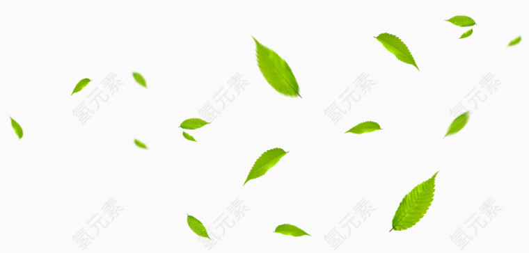 绿色树叶漂浮壁纸