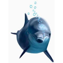 在水中的海豚真是自由自在啊