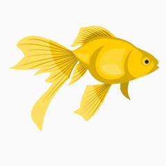 卡通手绘黄色 的小鱼