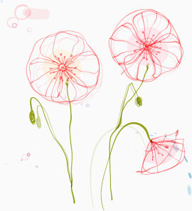 线描圆形粉色花卉