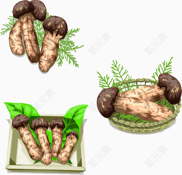 卡通手绘野生菌菇素材