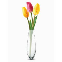 透明花瓶里的彩色郁金香矢量素材