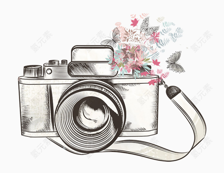 手绘花与相机