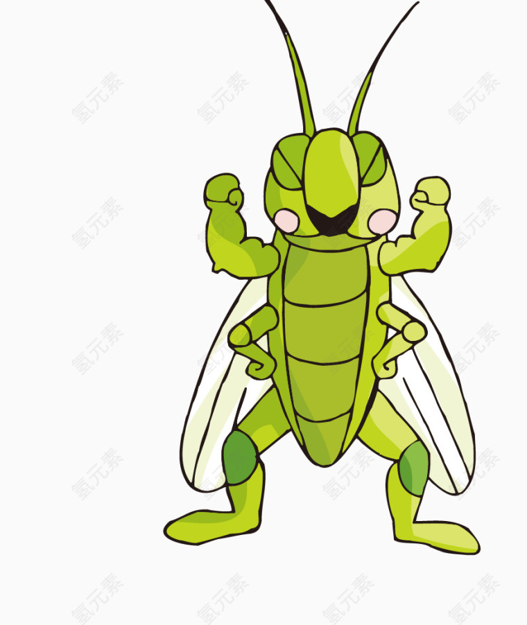 绿色螳螂