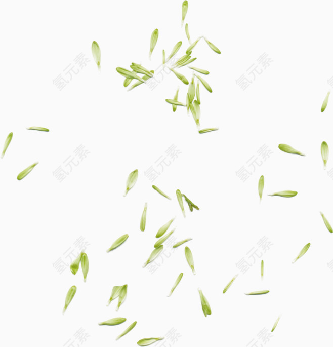 漂浮元素绿色小麦