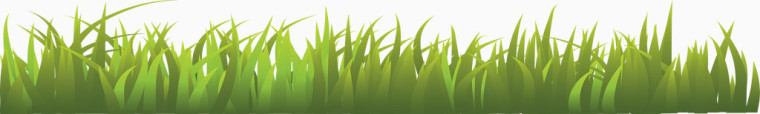田园风元素绿草