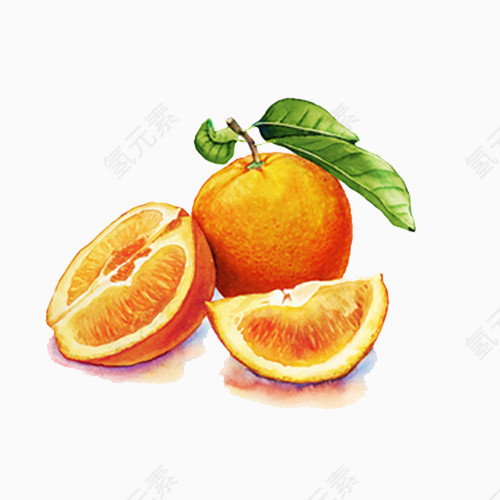 写实画风橘子