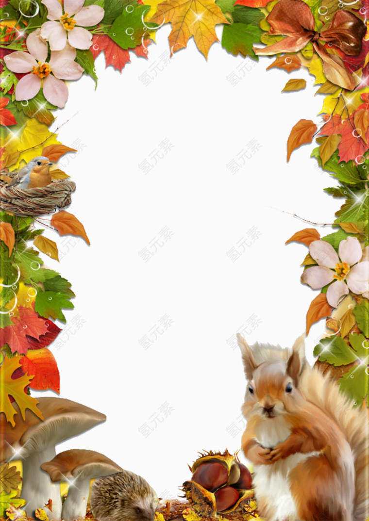 卡通花卉植物小鸟松鼠动物边框装饰背景