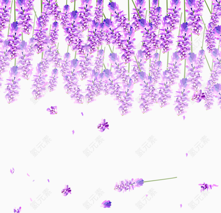 紫色花卉背景装饰