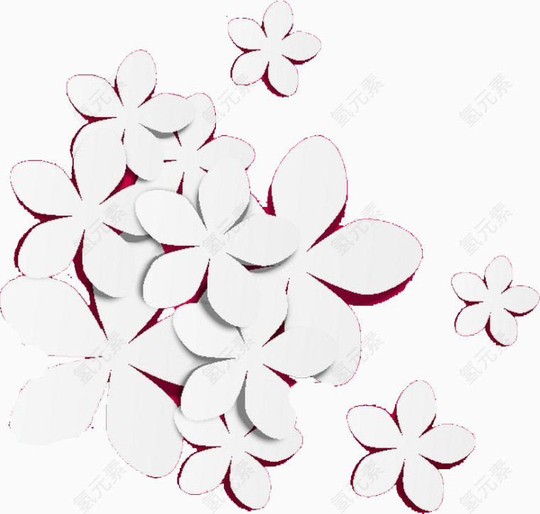 白色花朵群