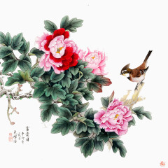 手绘花鸟