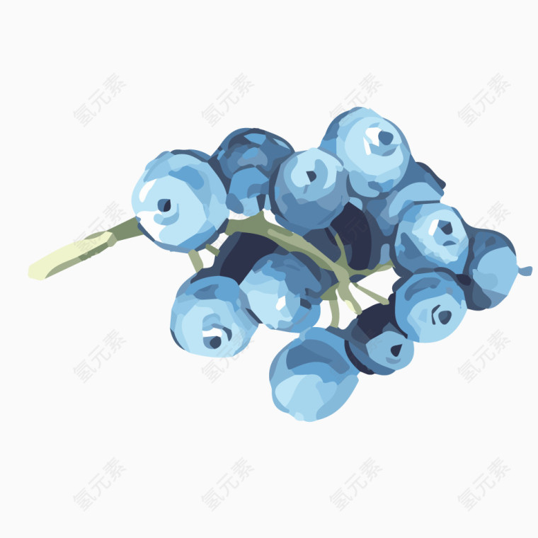 手绘蓝莓水果