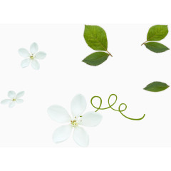 绿叶白花装饰品
