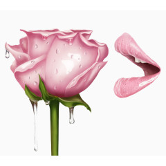 粉色玫瑰花与嘴唇