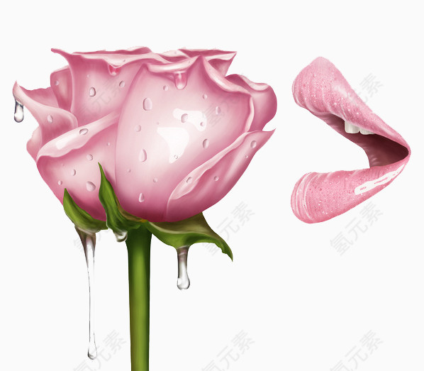 粉色玫瑰花与嘴唇