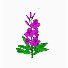 卡通手绘紫的花朵