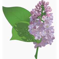 紫色花朵手绘风油画风水彩风