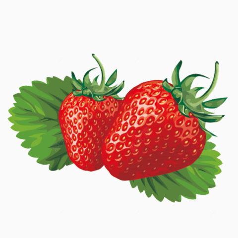 新鲜的草莓下载