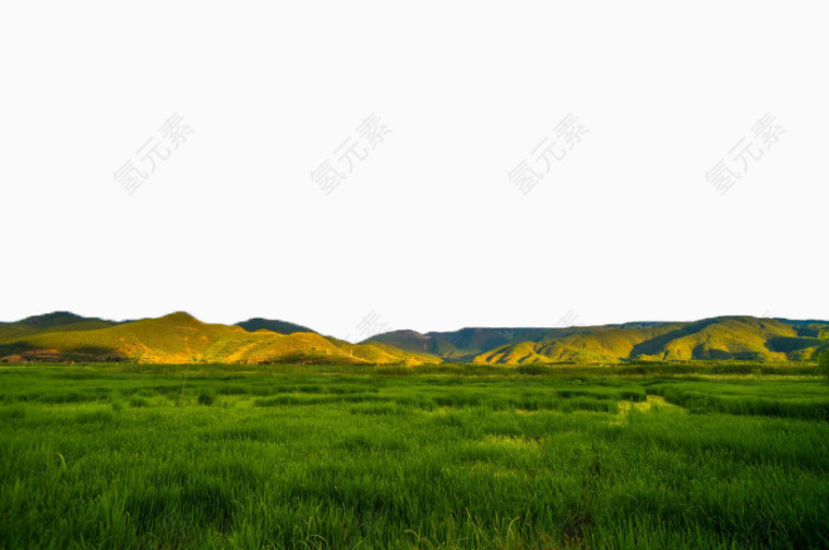 泸沽湖草海风景六